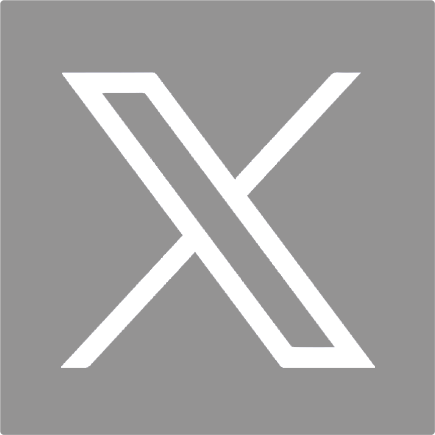 x logo