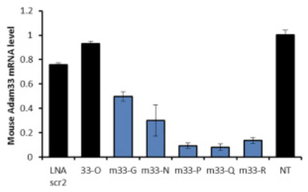 Locked Nucleic Acid Gapmers and Conjugates Potently Silence ADAM33, an Asthma-Associated Metalloprotease with Nuclear-Localized mRNA