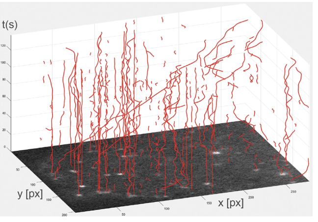 Diatrack particle tracking software