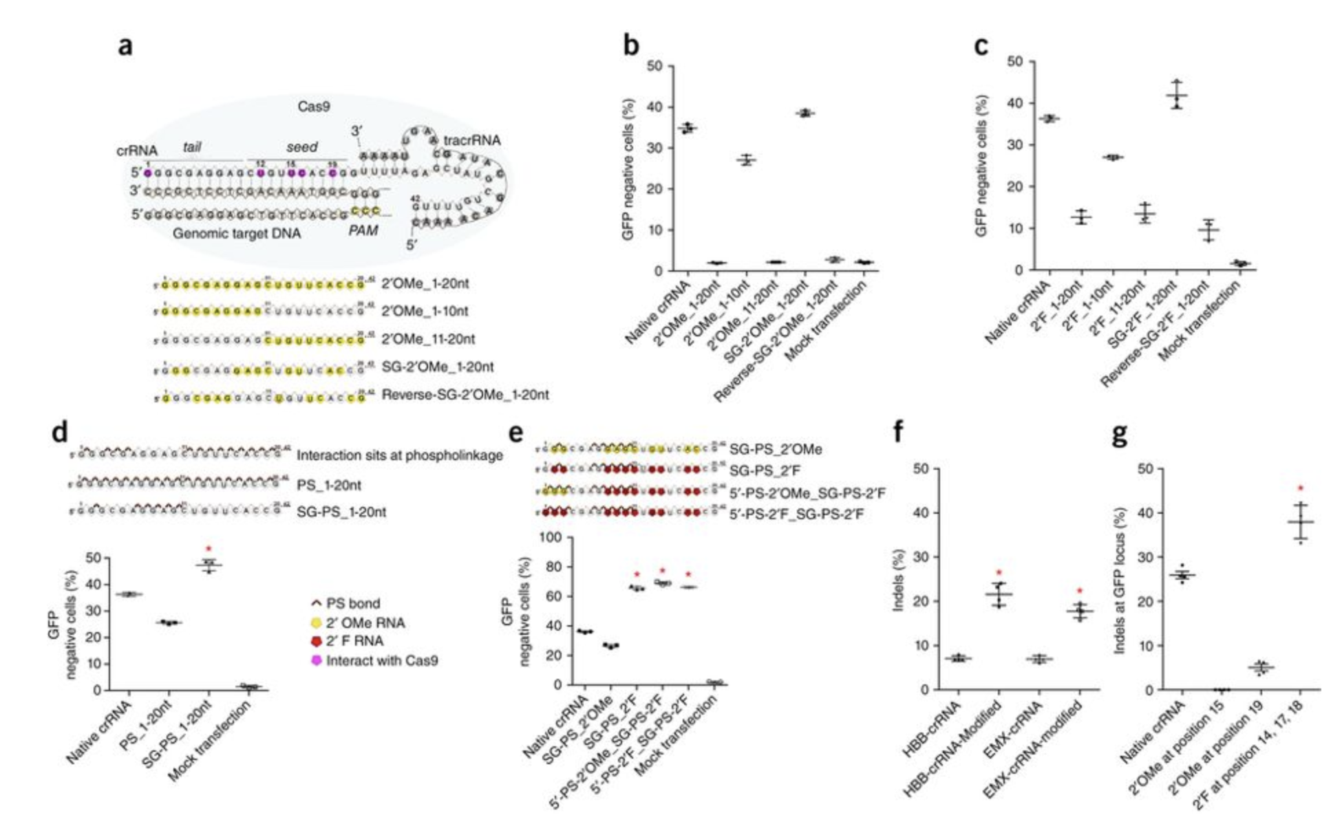 modifications to guide RNA in vivo genome editing