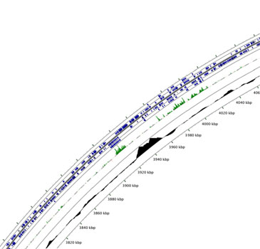 Phenotypic_profiling_picture3