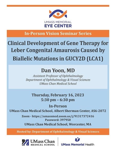 Clinical Development of Gene Therapy for Leber Congenital Amaurosis Caused by Biallelic Mutations in GUCY2D (LCA1)