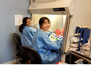 koupenova lab scientists at the bench