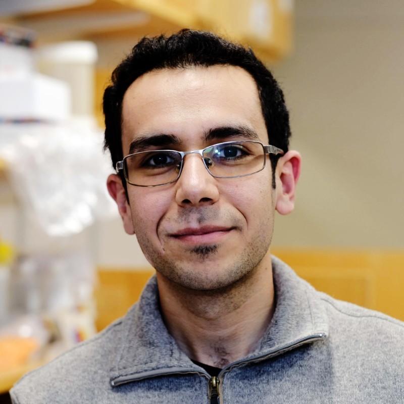 Alireza Edraki, PhD