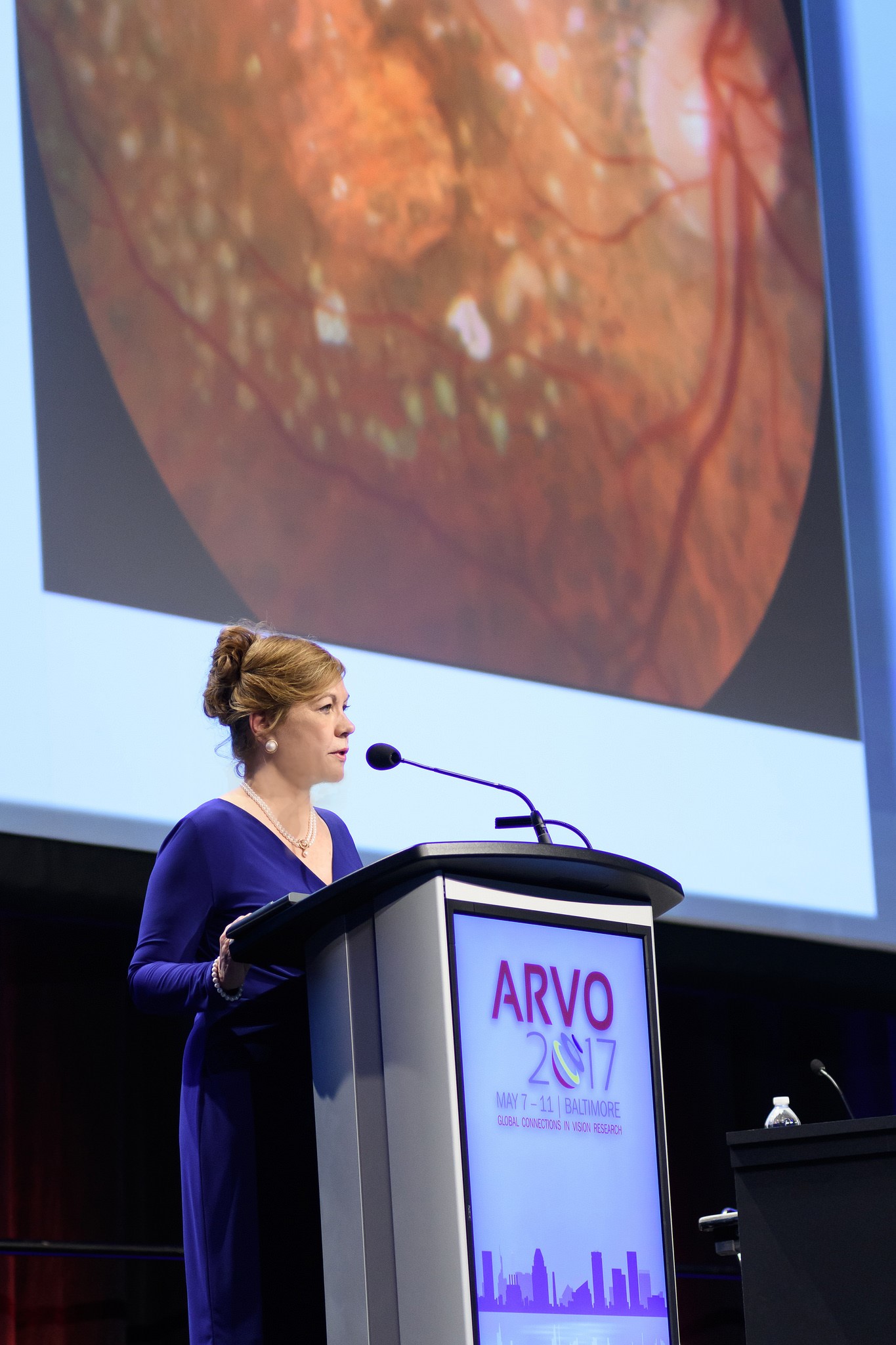 Dr. Seddon delivering the distinguished Mildred Weisenfeld Award lecture.