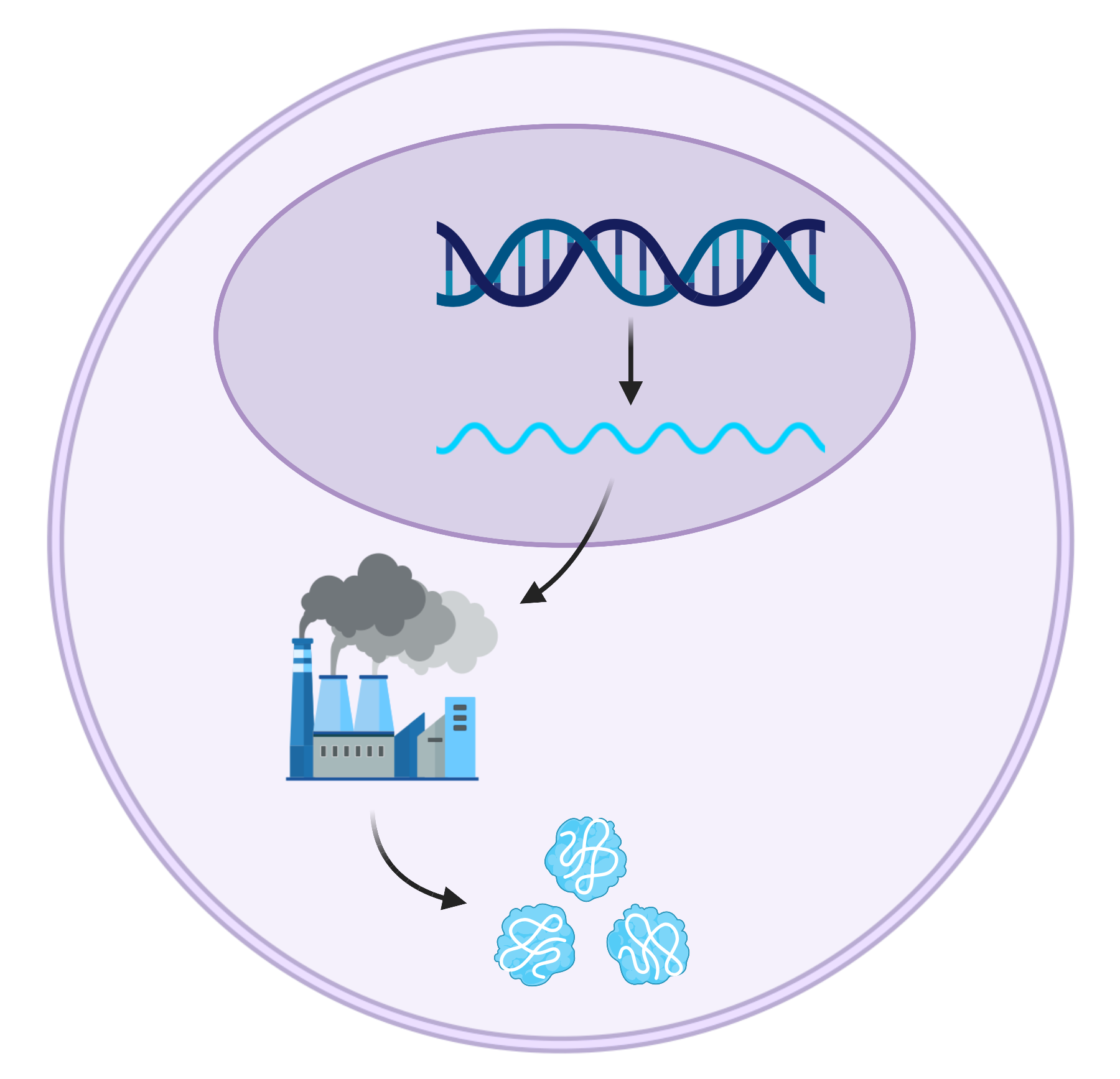 Central dogma of biology