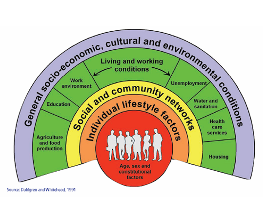 Social Determinants graphic