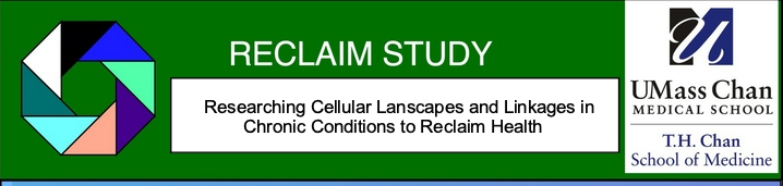 A green and white rectangular signDescription automatically generated