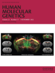 Functional analysis of rare genetic variants in complement factor I in advanced age-related macular degeneration - 2022