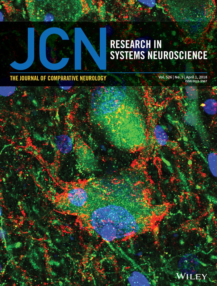 Dopamine drives left-hemispheric lateralization of neural networks during human speech.