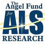 https://theangelfund.org/