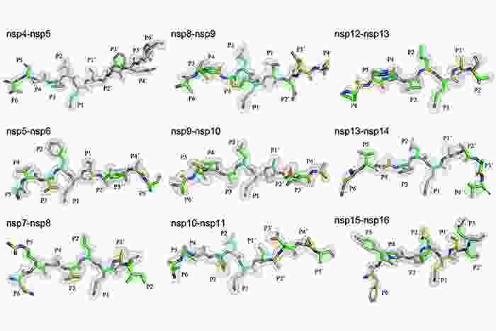 molecules as green, red and blue sticks surrounded by a grey mesh