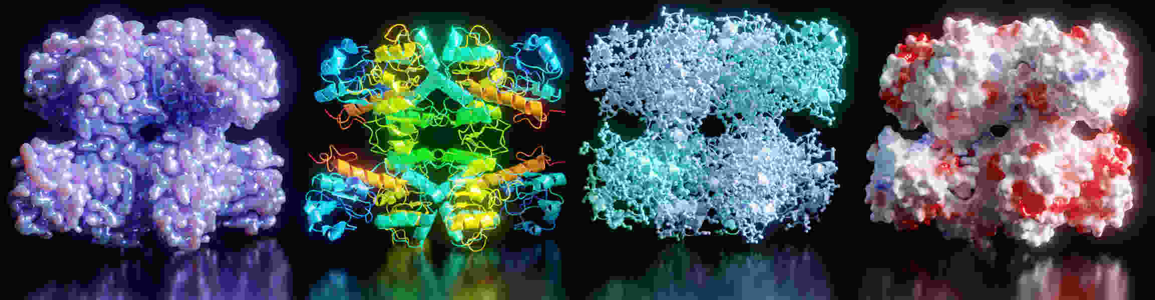 bmb biophysics and macromolecular structure hero illustration.jpg