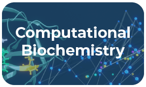  bmb research category button computational biochemistry.png