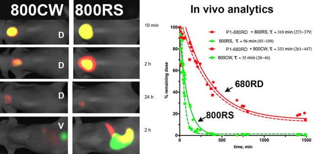 ILAT figure - Bogdanov Lab - UMass Chan Medical School