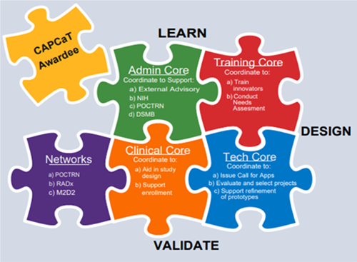 puzzle graphic representing CAPCaT structure