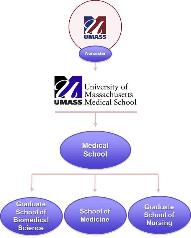 Graduate Level Schools