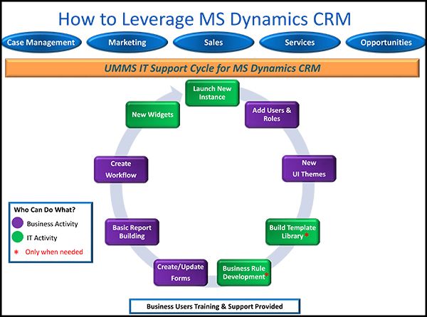 Dynamics-CRM-2016-Vision-Web-4