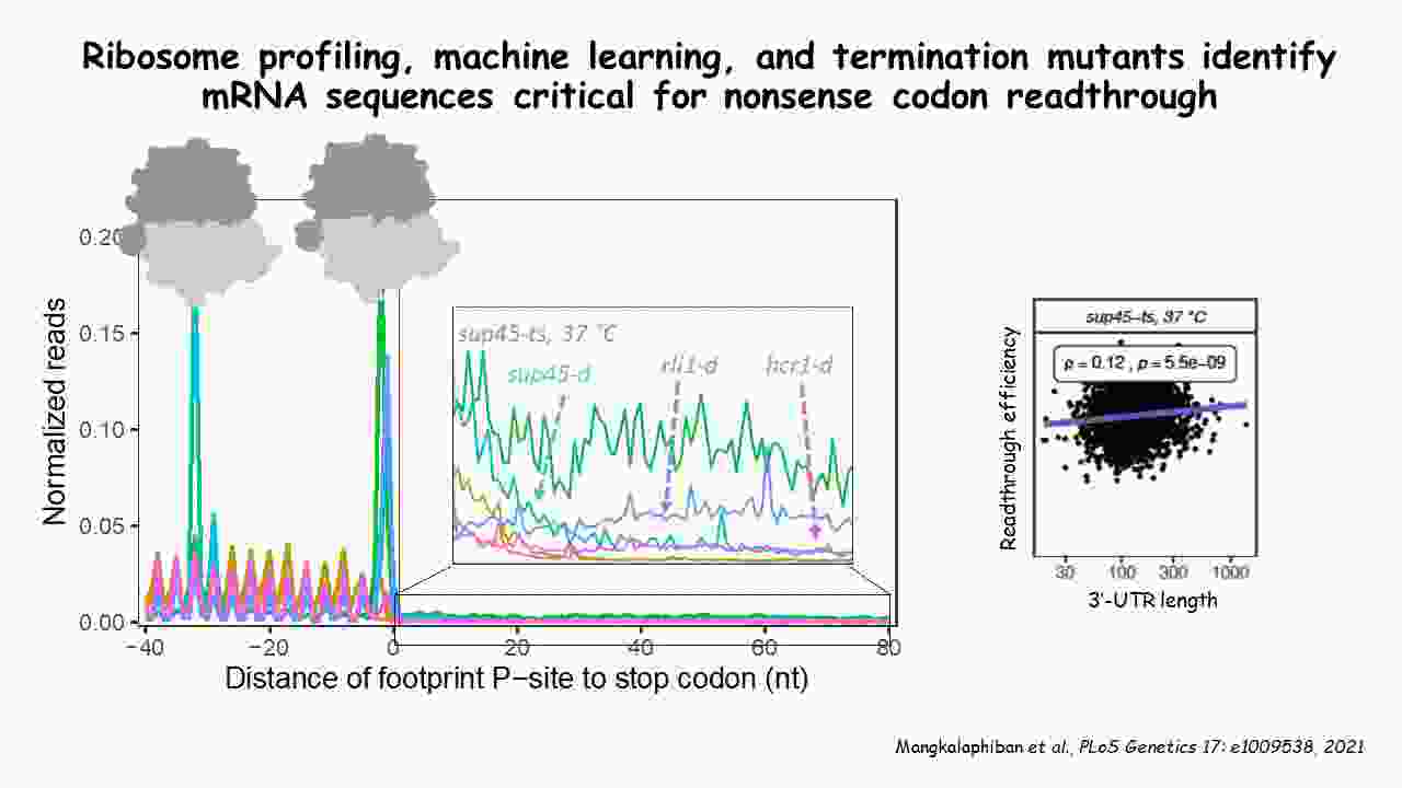 Slide 12 updated.jpg