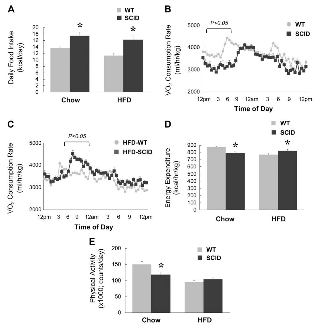 Research Obesity 1b