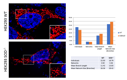 Research Overview