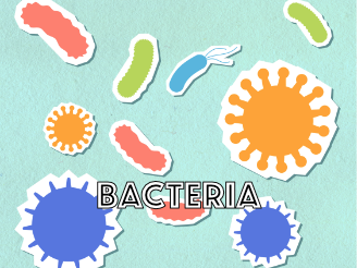  BACTERIA_ICON.png