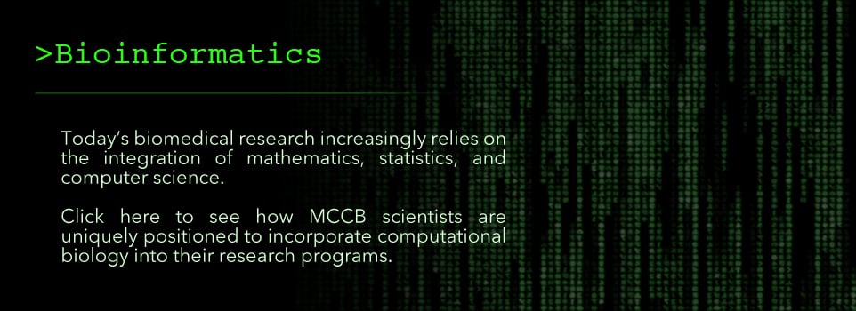 Bioinformatics