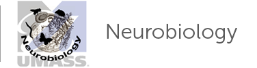 Neurobiology