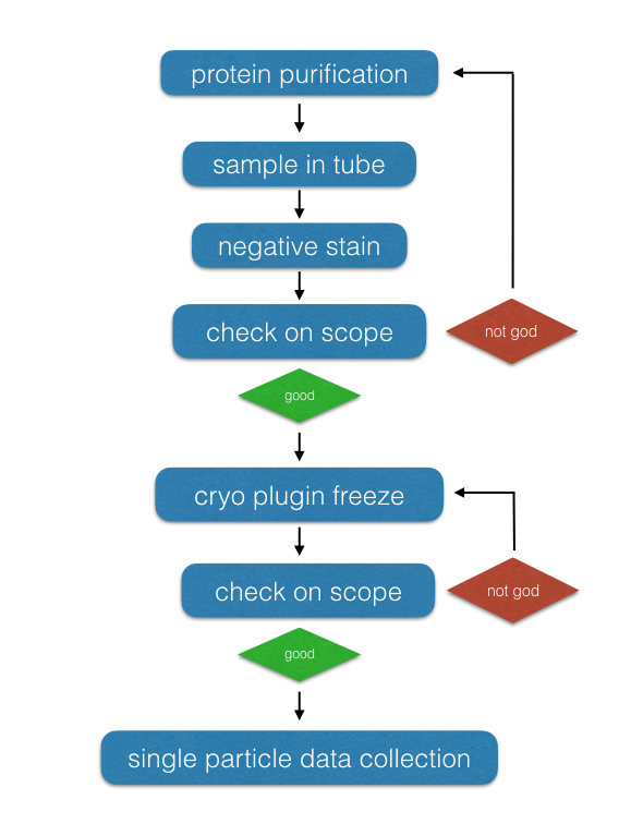 cryo grid prep pipeline single particle