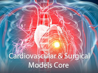  Cores-CardiovascularCore.png