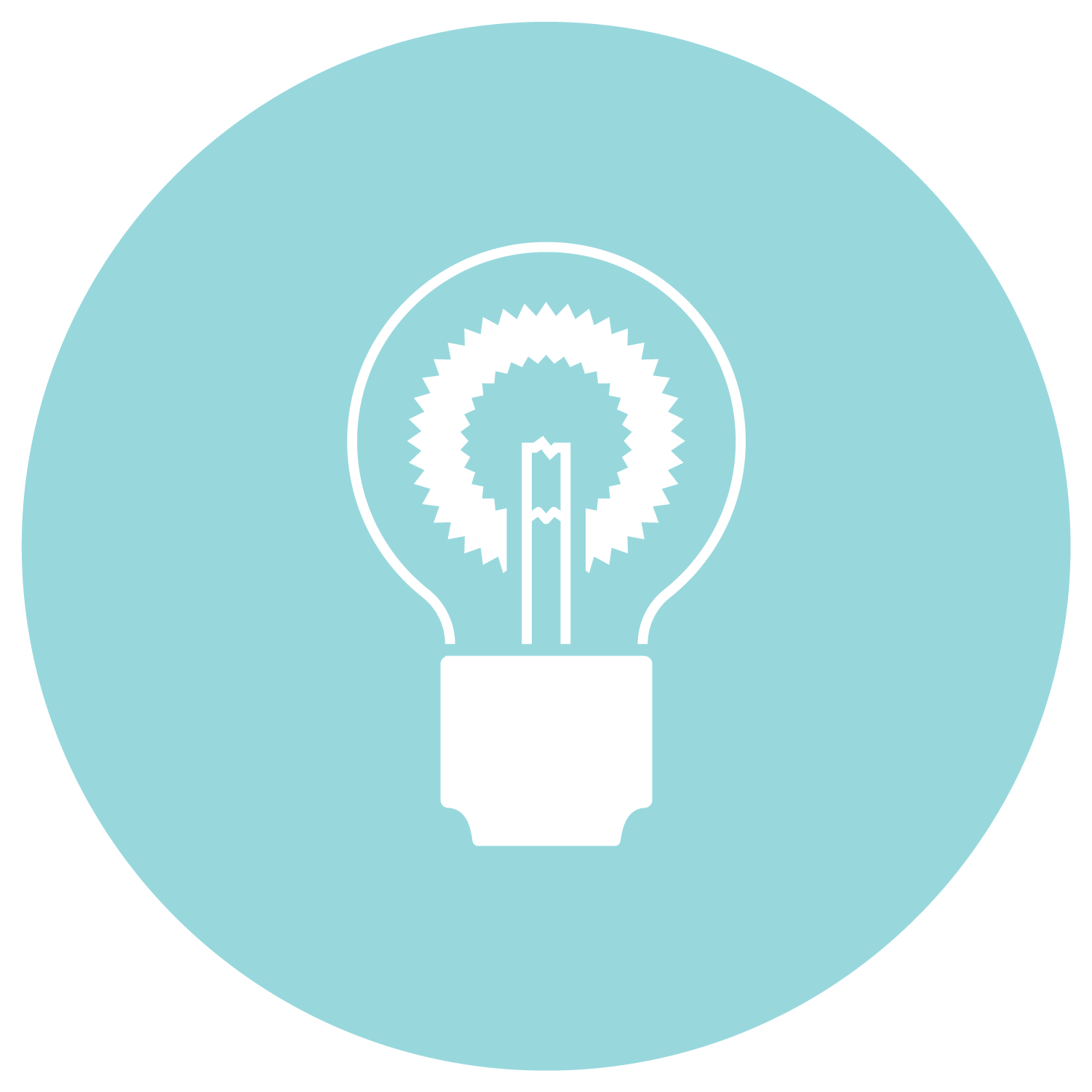 lightbulb icon