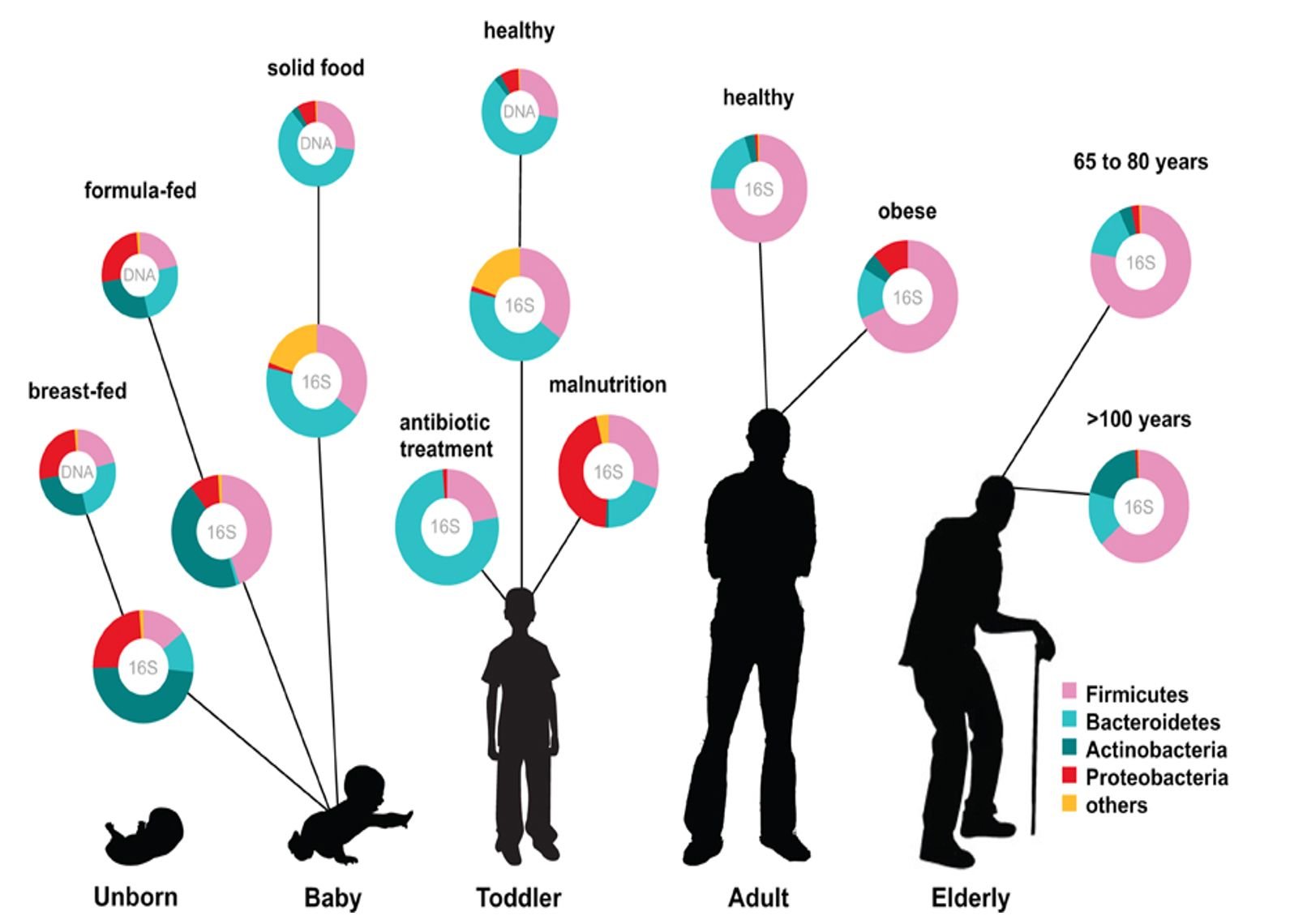 Life Spectrum