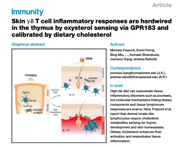 Miki Immunity