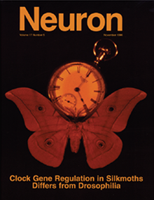 Neuron cover