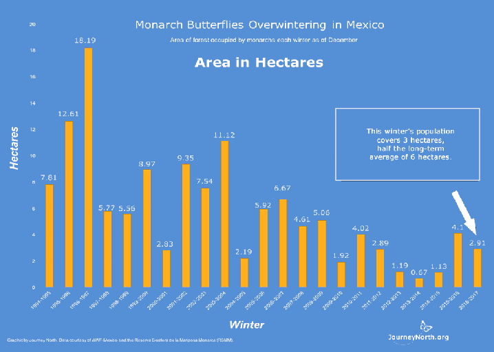 monarch-winter.png