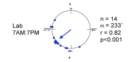 compass-bearings.jpg