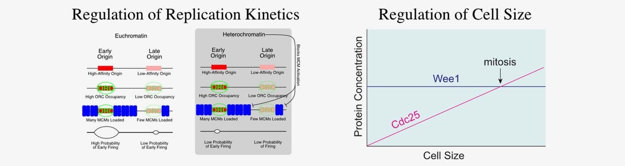 Research Overview