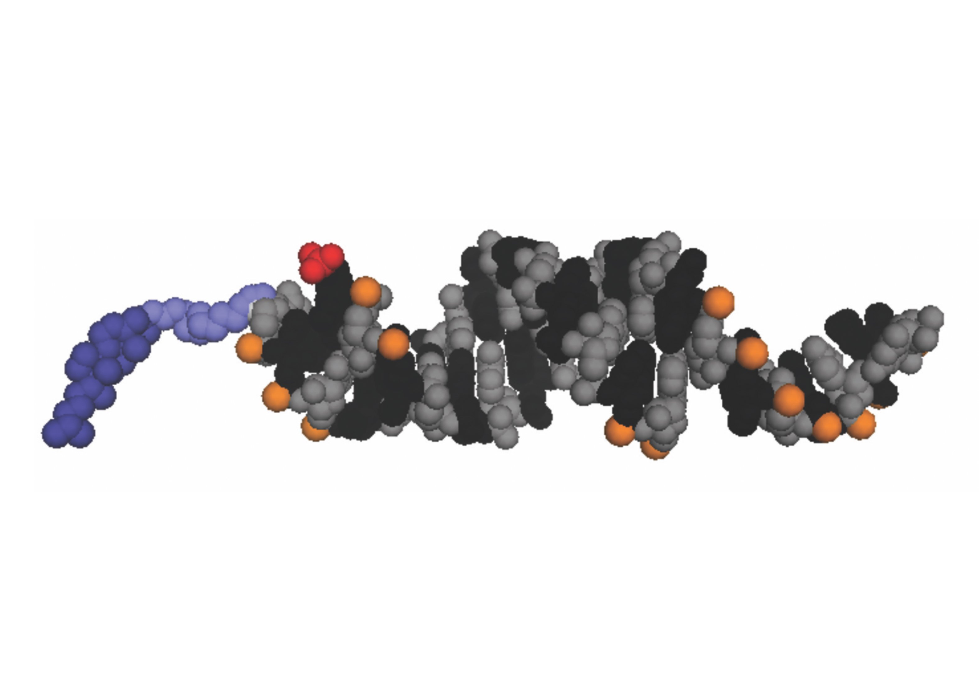 hsiRNA structure