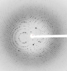 three-dimensional images of macromolecular complexes