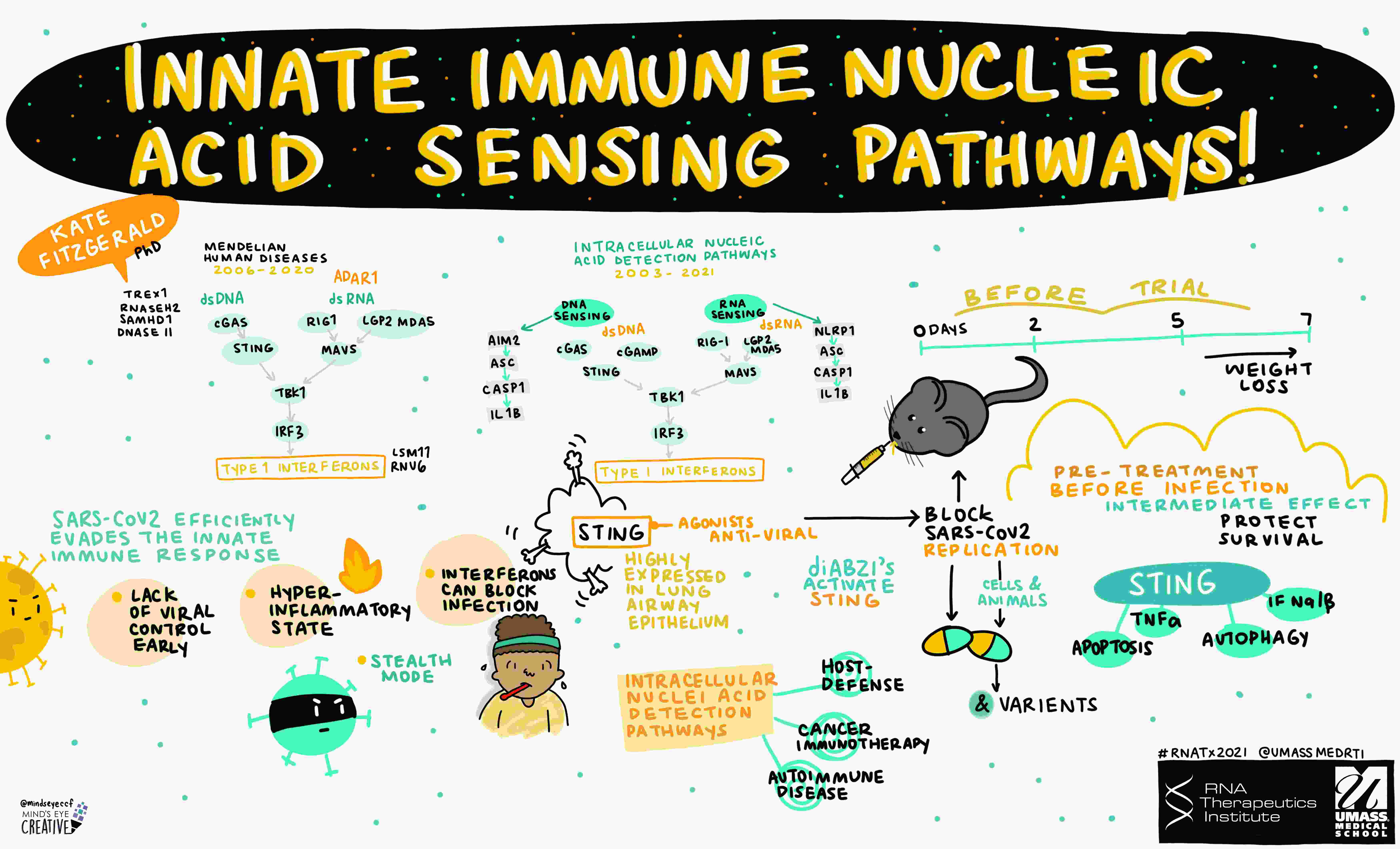 Graphical Recording of 2021 RNATx speaker, Kate Fitzgerald