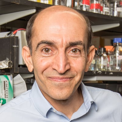 Danesh Moazed, PhD