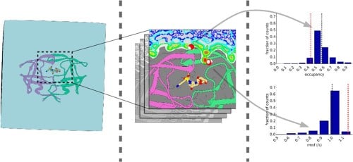 Hydration Structure and Dynamics of Inhibitor-Bound HIV-1 Protease.