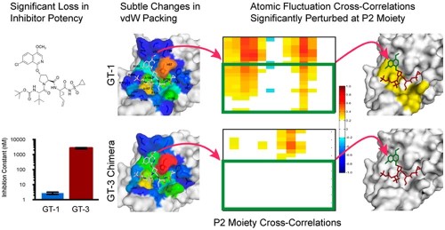 Molecular and Dynamic Mechanism Underlying Drug Resistance in Genotype 3 Hepatitis C NS3/4A Protease.