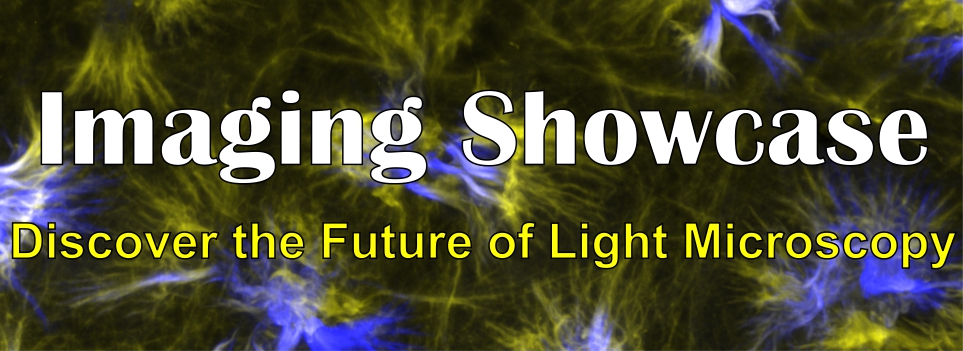 imaging showcase