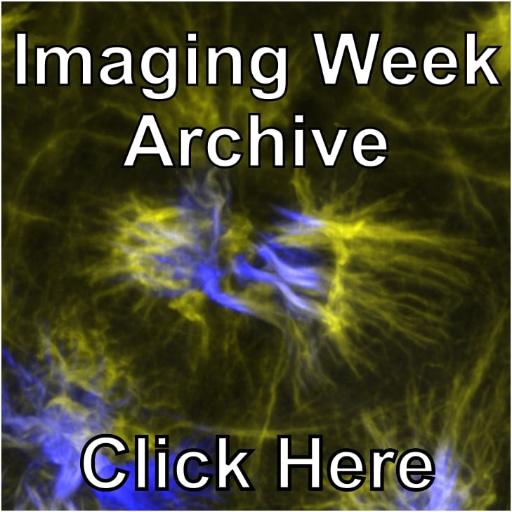 Image Week Archive