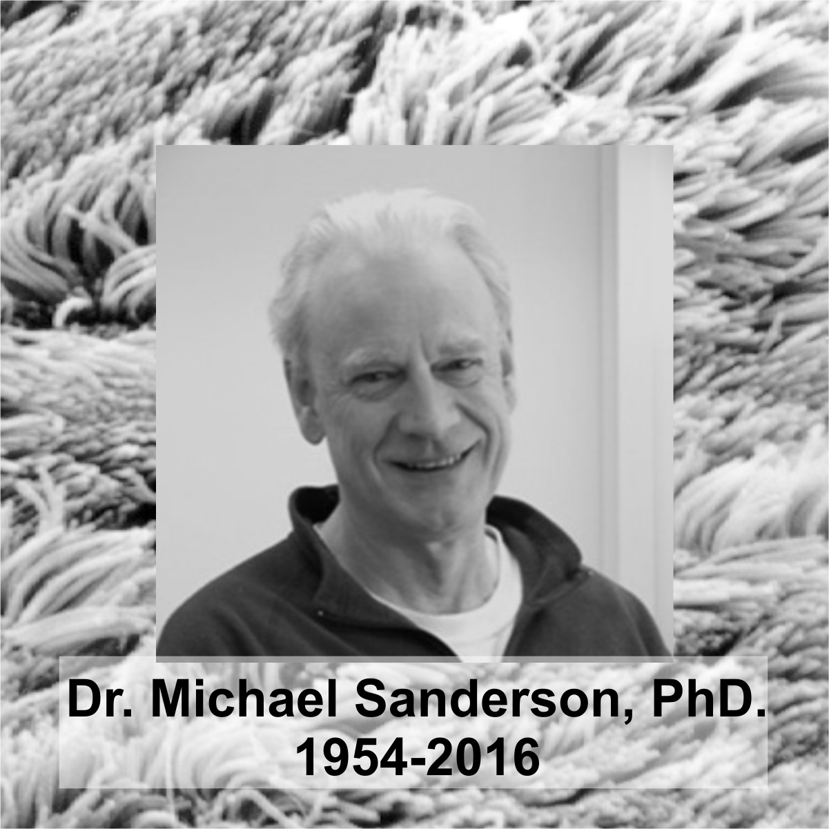 Image of Dr. Michael Sanderson, PhD.