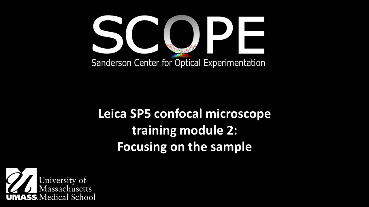 SP5 module 2