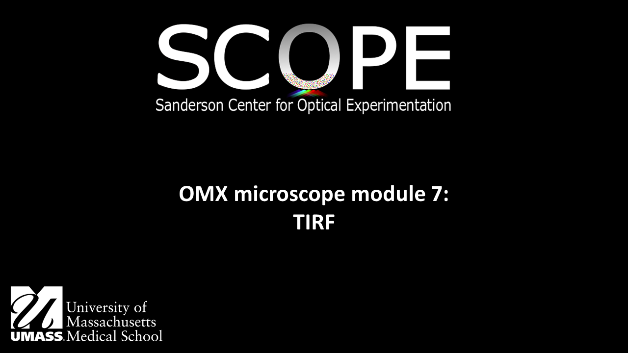 OMX module 7