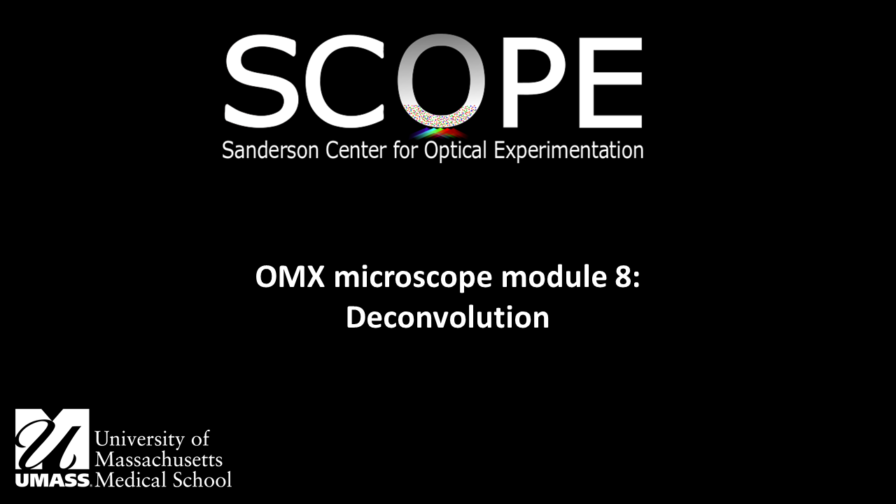 OMX module 8