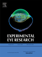 Choriocapillaris dropout in early age-related macular degeneration - 2020